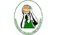 logo basket