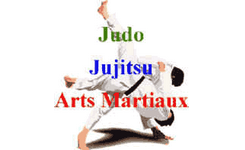 logo judo